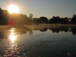 Утро на озере