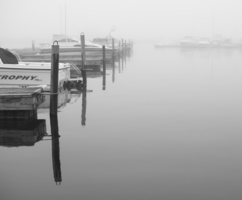 Туманное утро в порту
