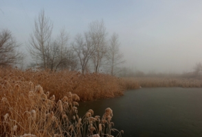 туманный этюд с замершим озером