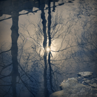 Ежегодный весенний потоп 