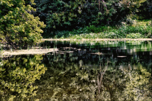 Осень на подходе.