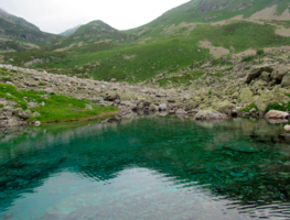 Верблюд... Почти...