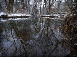 Первый снег