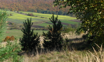 Вид на поля с пригорка