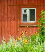 Домик с окнами в сад