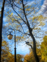 Осень,улица,фонарь