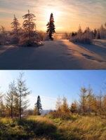 Зима и осень