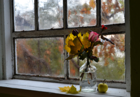 А осень постучала уж в окно...