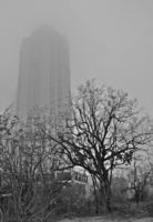 В осеннем тумане
