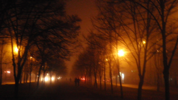 Лучи фонарей сквозь туман