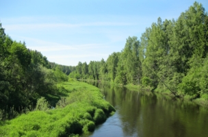 река Торопа в Тверской области