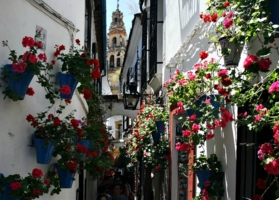 Цветочный переулок