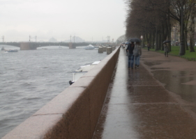 А в Петербурге - дожди.....