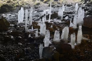 Ледяные сталагмиты грота Татьяны