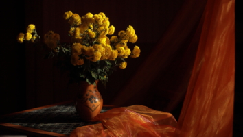 Хризантемы с запахом полынным