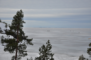 Ладога. Рыбаки на льду. 