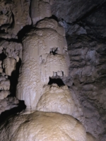 Пещерный страж
