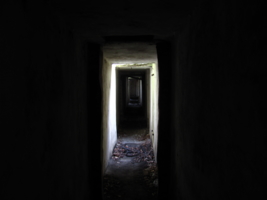 Тёмные коридоры 