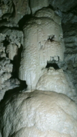 Сказочные обитатели пещеры