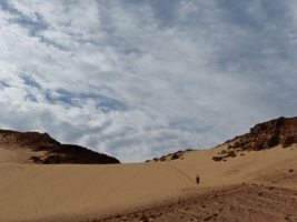 Долгая дорога в дюнах