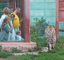 Всё относительно