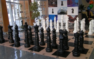 Гроссмейстерские шахматы