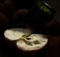 Яблочный аромат