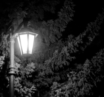 ночь, улица, фонарь....