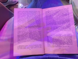The purple page on a reflection 