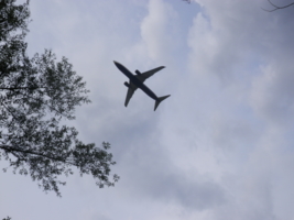 самолет в небе