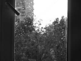 Дождь за окном...