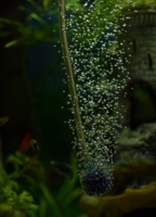 Подводный мир