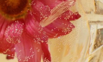 в пузырьках