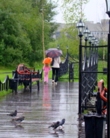 Любители гулять под дождем