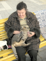 Бездомный кот Васька.