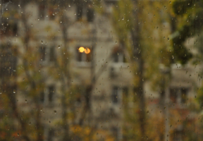 Осень за моим окном