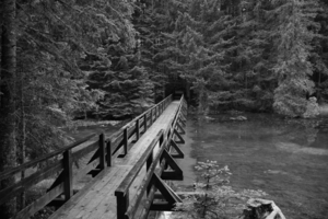 Лесной мост.