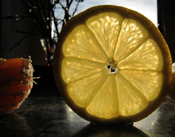 В кольце лимонном