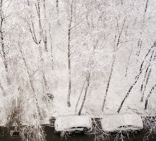 Зима из моего окна