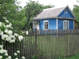 Синий домик в зелёном саду