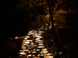 Ночная дорожка в дождливую осень