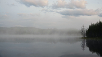 Утро на озере Пизанец. (Карелия)