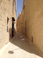 Мальтийский переулок