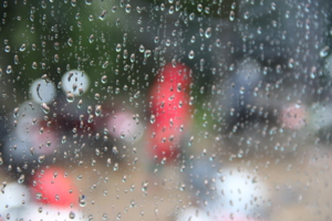дождь за окном