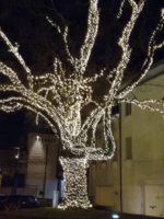 новогоднее дерево