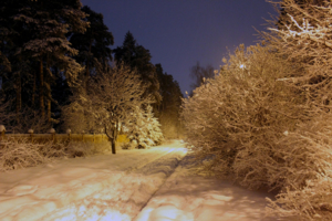 Зима в свете фонарей