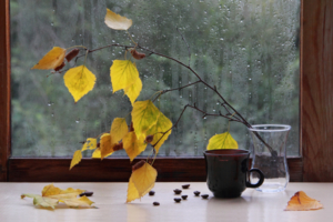 Осень, время кофе