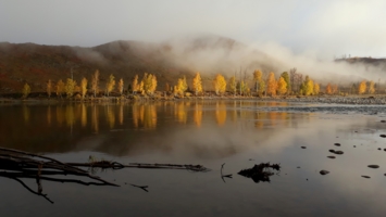 Осень в отражении и тумане