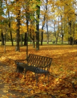 Осень в Михайловском саду