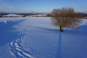 В снежном поле...
